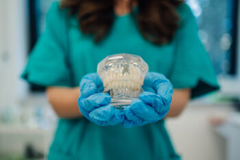 teeth model showing how a dental implant is in the jaw 