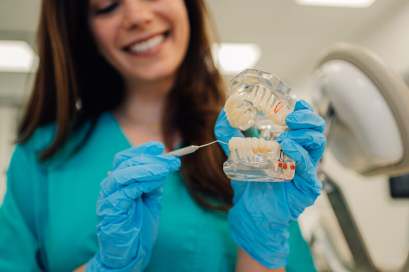dental implant show a model of different types of dental implants