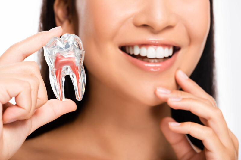 woman holding tooth model showing that she will have wisdom teeth removal